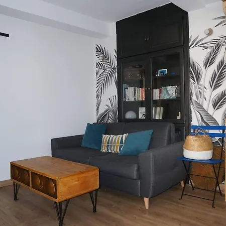 Apartamento Petit Appart Atypique Niza